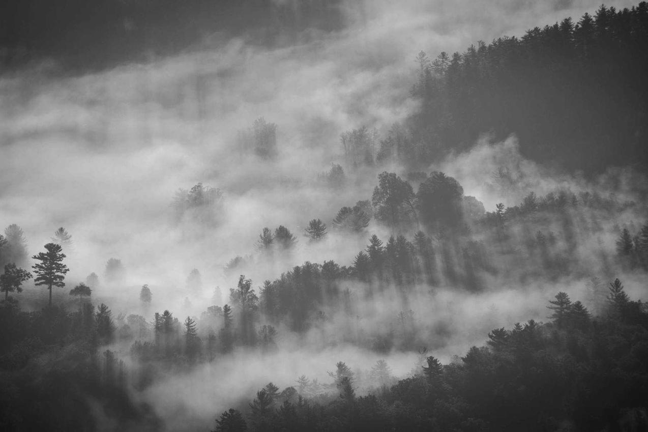 Reprehenderit ullam sed voluptas est ipsam minus rerum excepturi dolorem