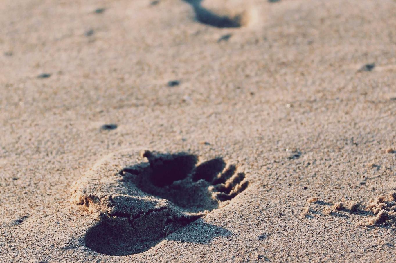 Voluptatem qui et deleniti molestias et