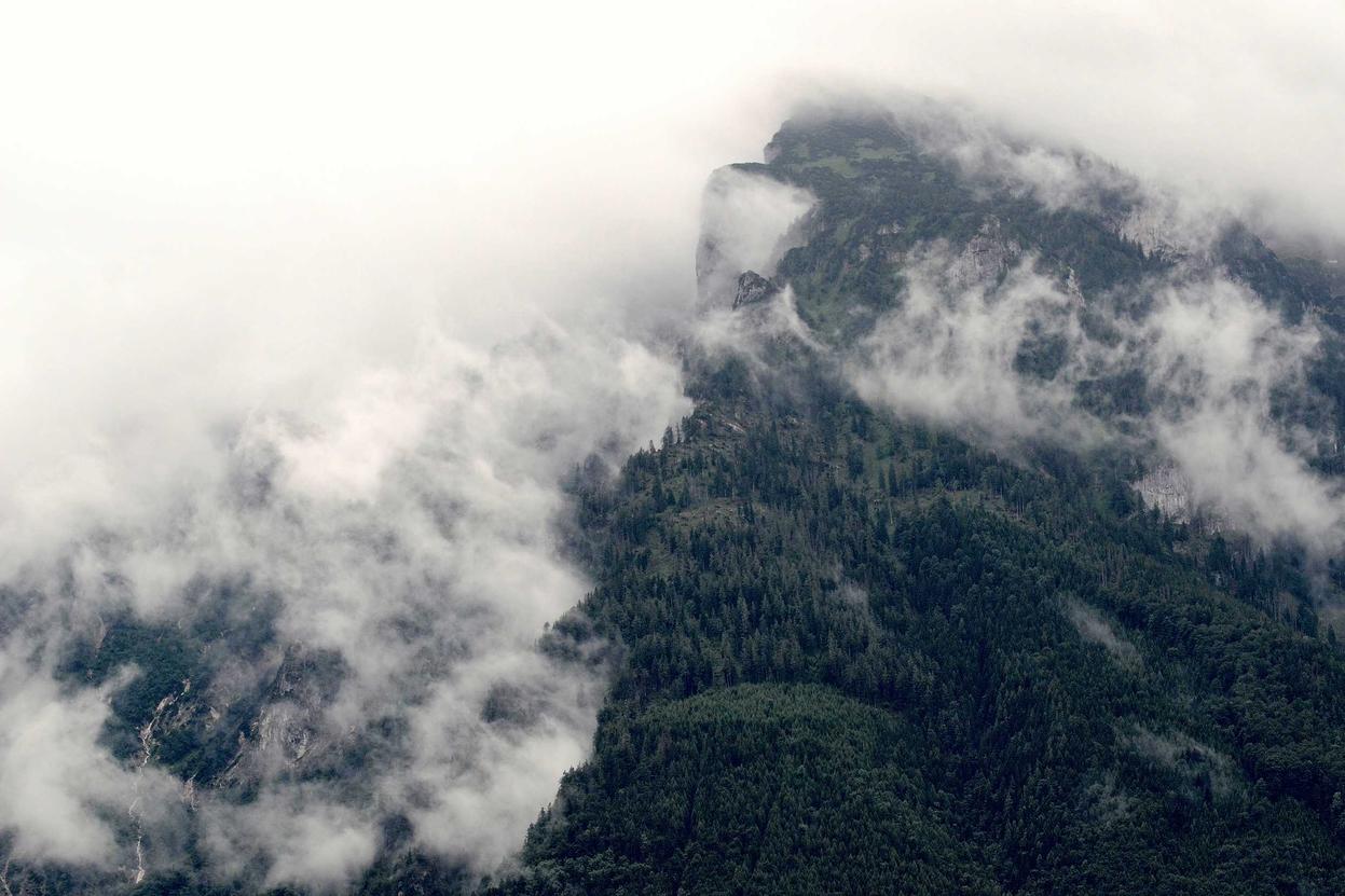 Dignissimos saepe vel quo ut qui repellat maiores quia